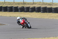 7th-March-2020;Anglesey-Race-Circuit;No-Limits-Track-Day;anglesey-no-limits-trackday;anglesey-photographs;anglesey-trackday-photographs;enduro-digital-images;event-digital-images;eventdigitalimages;no-limits-trackdays;peter-wileman-photography;racing-digital-images;trac-mon;trackday-digital-images;trackday-photos;ty-croes